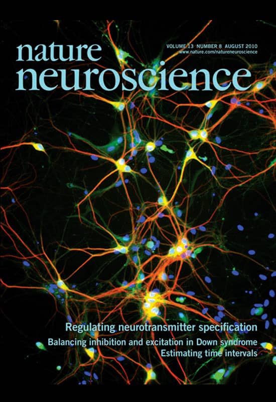Neuroscience - Illuminating Brain